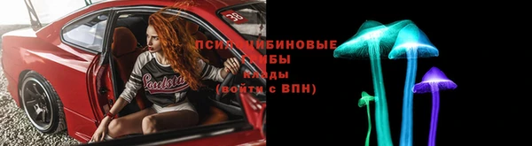 бутират Туринск