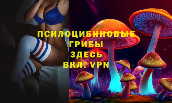 таблы Тында
