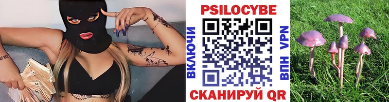 наркотики  Болотное  Псилоцибиновые грибы ЛСД 